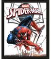 Cuadro Lenticular 3D Spider-Man