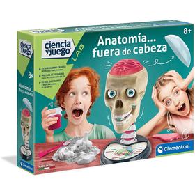 Anatomia