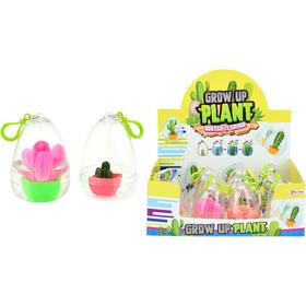 huevo-convertible-en-cactus-surtido