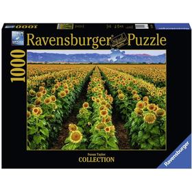 puzzle-campo-de-girasoles-1000-pz