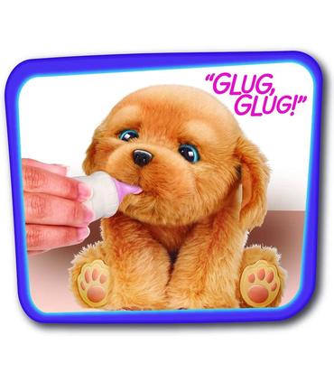 perro-intercanvio-sleepy-puppy