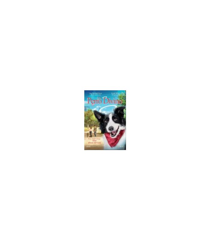 un-perro-divino-dvd-reacondicionado