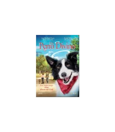 un-perro-divino-dvd-reacondicionado