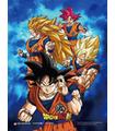 Cuadro 3D Lenticular Dragon Ball Super Power of Saiyans