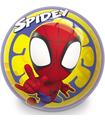 Balon Spidey