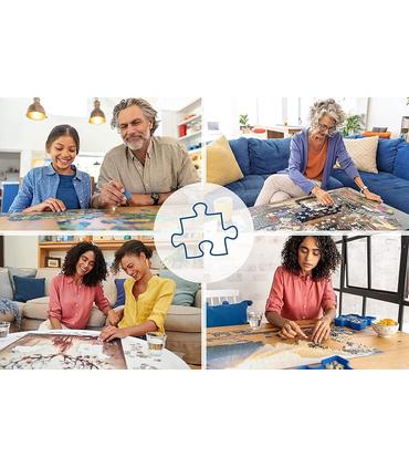 puzzle-cinderella-disney-castles-1000-piezas