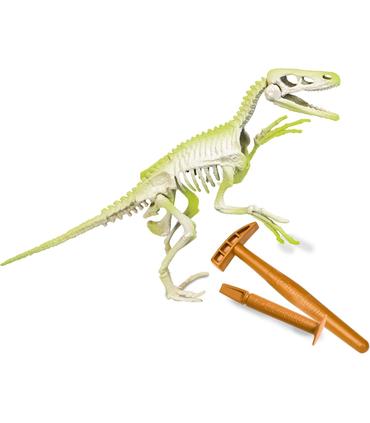 arqueojugando-velociraptor-fosforescente
