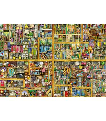 magical-bookcase-puzzle-18000-pz