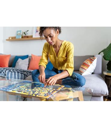 pokemon-puzzle-1000-piezas