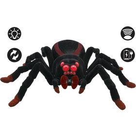 tarantula-arana-spider-control-r-c