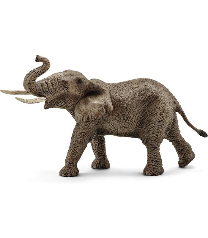 elefante-africano-macho