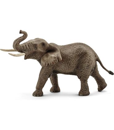 elefante-africano-macho