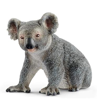 koala-macho