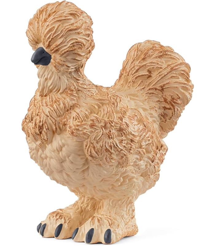gallina-silkie
