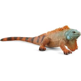 iguana