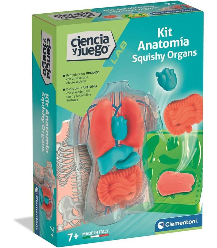 kit-anatomia-squishy-organs