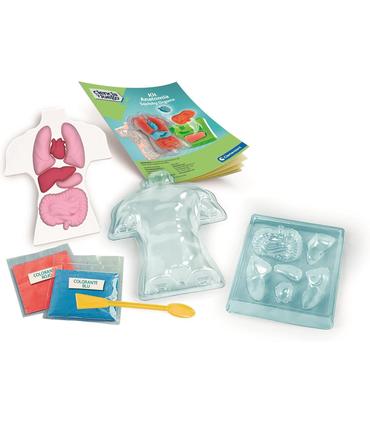 kit-anatomia-squishy-organs