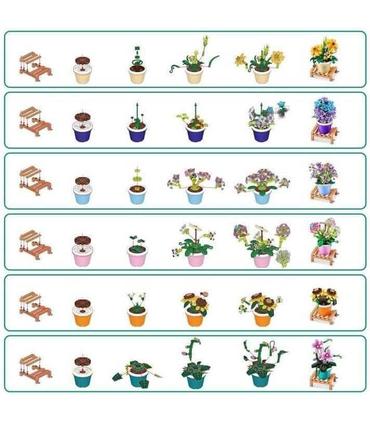 garden-pot-plants-surtido