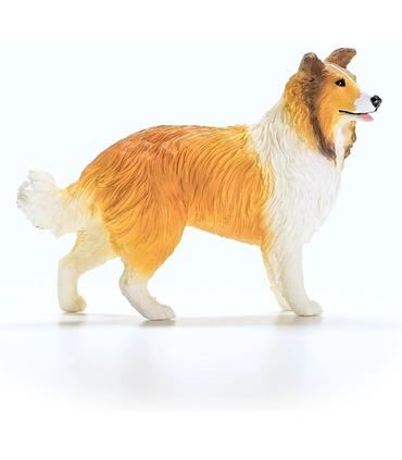 collie-perro