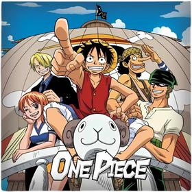 one-piece-straw-hat-crew-velboa-cojin