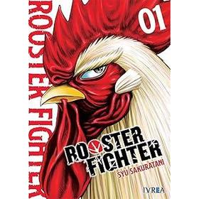 Rooster Figthter 01