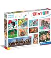 Puzzle 10 en 1 Noli Animal Friends