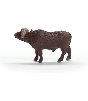 bufalo-africano