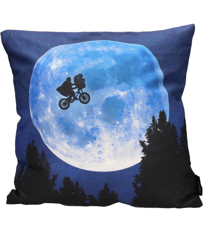 cojin-cuadrado-poster-e-t-envasado-vacio