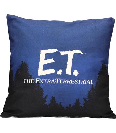 cojin-cuadrado-poster-e-t-envasado-vacio