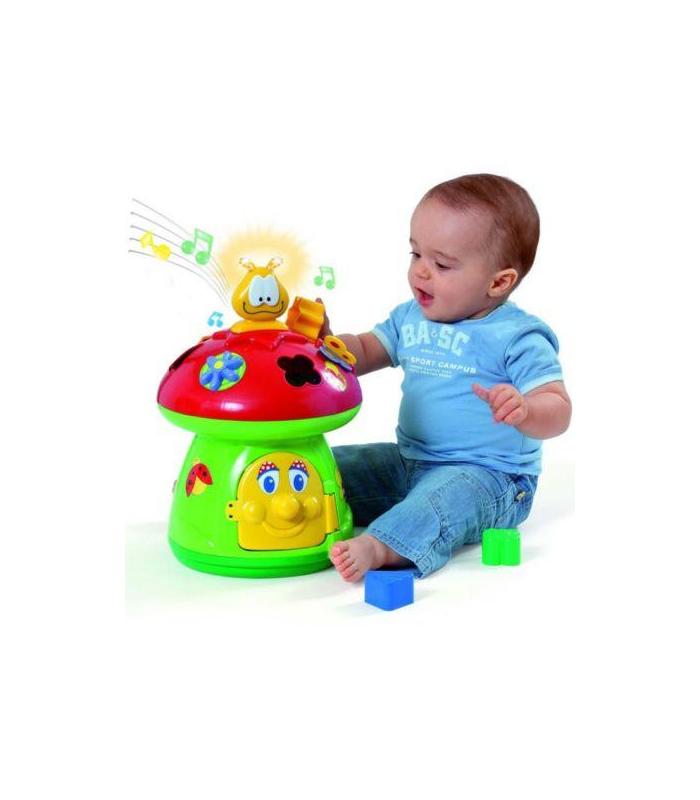 molto-activity-seta-de-actividades