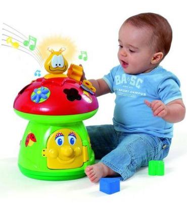 molto-activity-seta-de-actividades